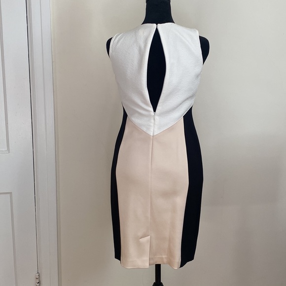 Classy black, cream and white dress. Form fitting and zipper is in back. Lovely! - Picture 4 of 7